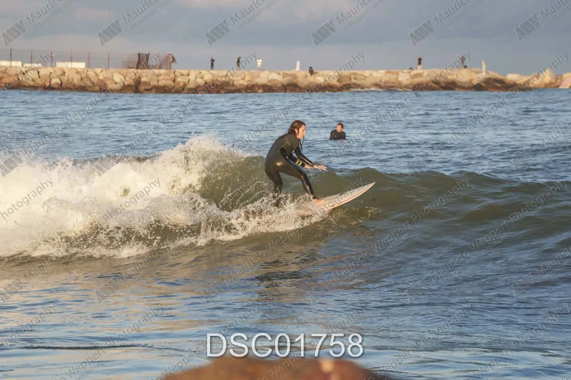 DSC01758.jpg