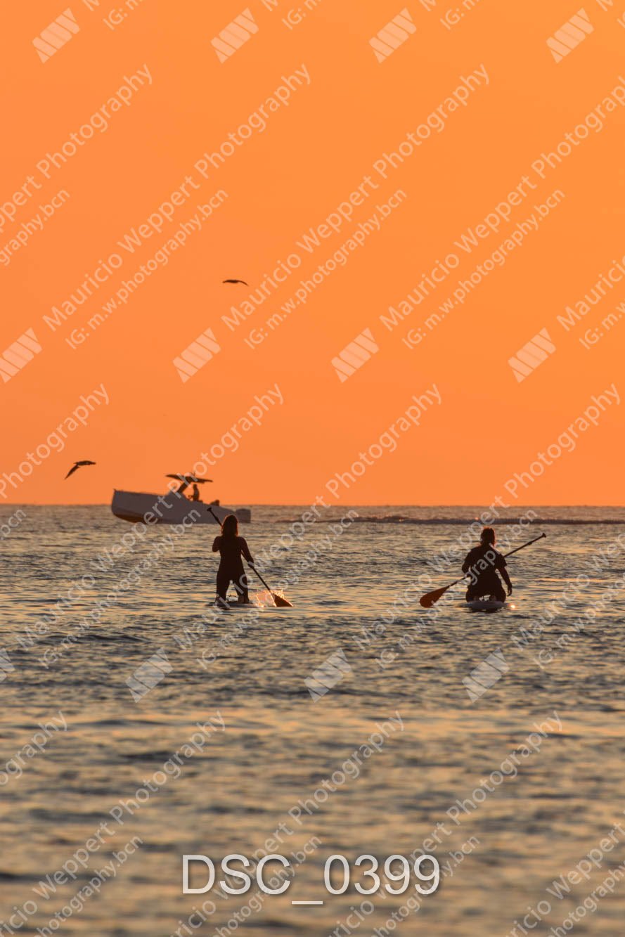 DSC_0399.jpg