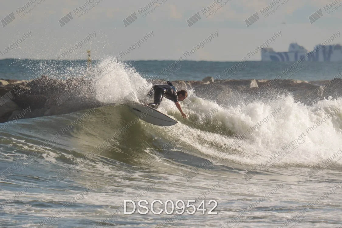 DSC09542.jpg