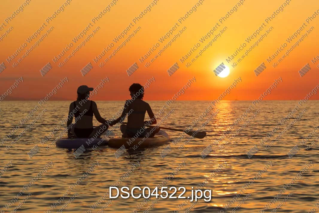 DSC04522.jpg