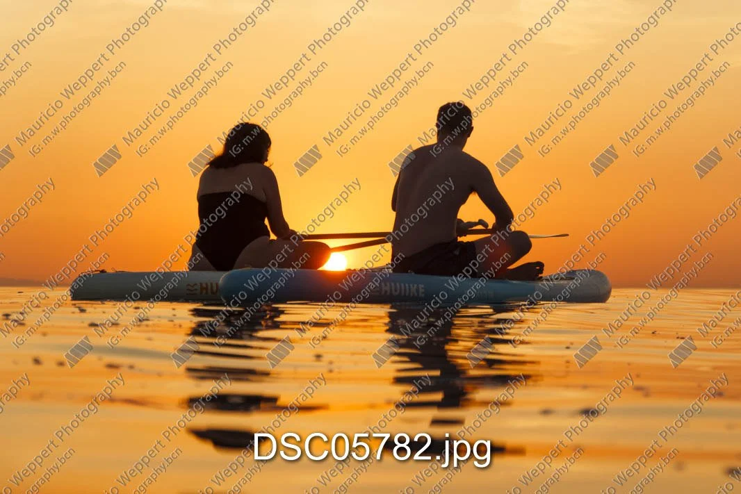 DSC05782.jpg