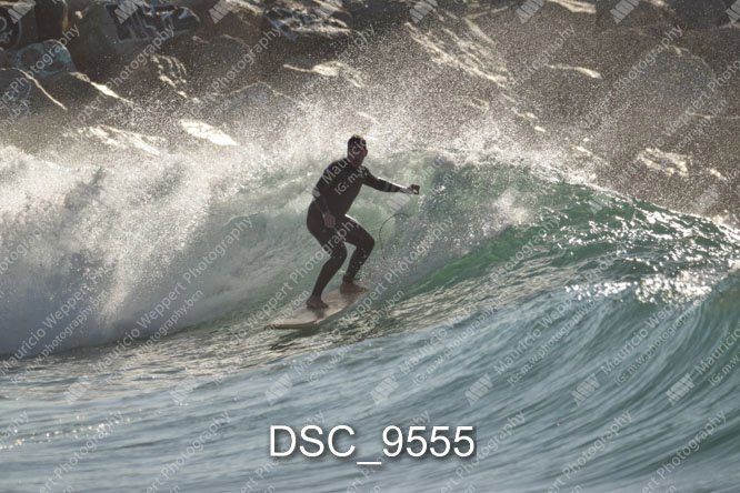 DSC_9555.jpg