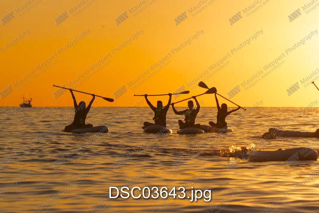DSC03643.jpg
