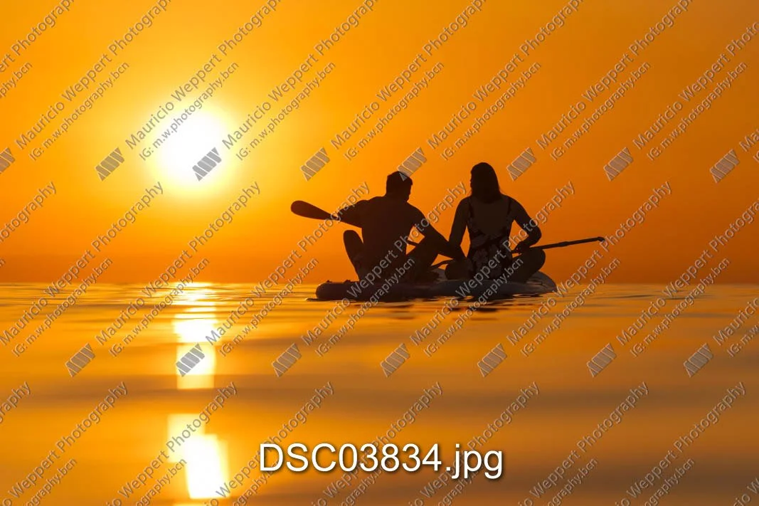 DSC03834.jpg