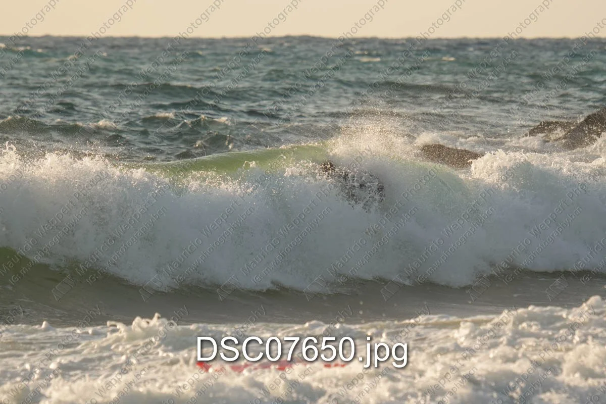 DSC07650.jpg
