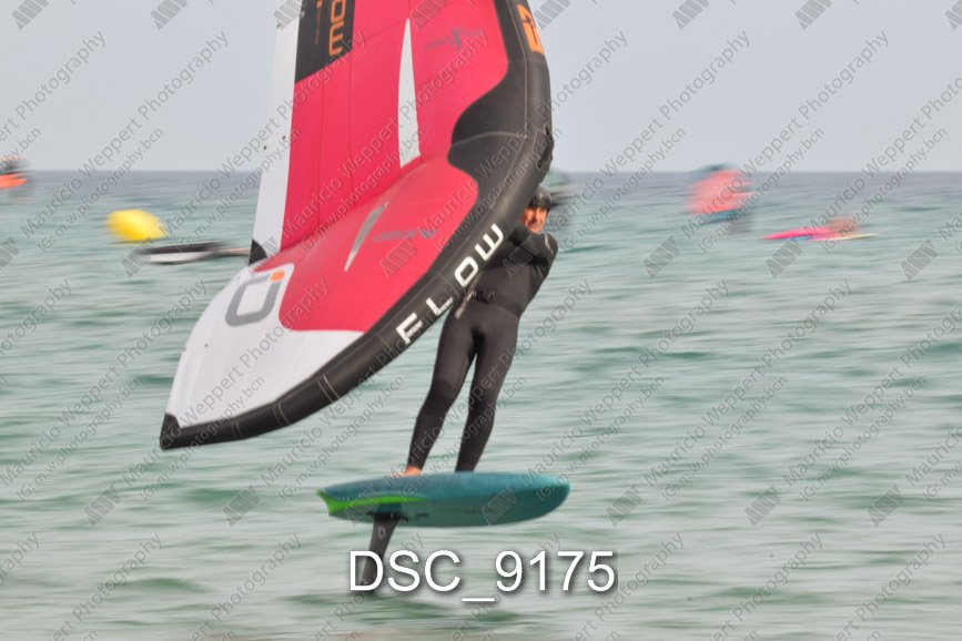 DSC_9175.jpg
