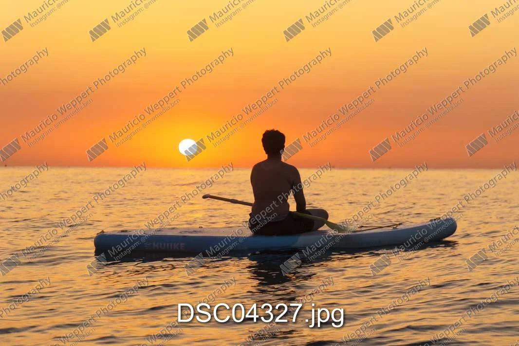 DSC04327.jpg
