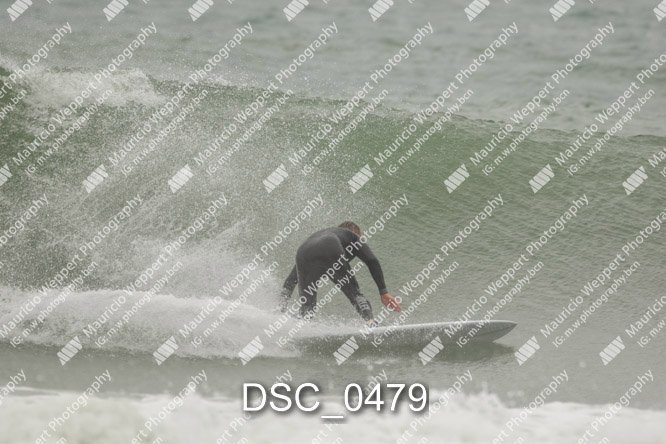 DSC_0479.jpg