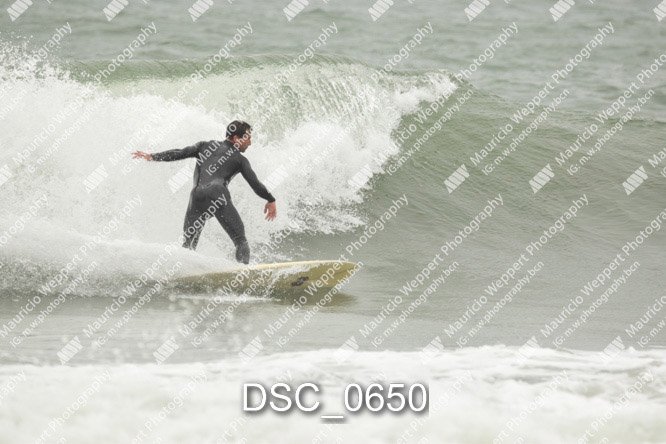 DSC_0650.jpg