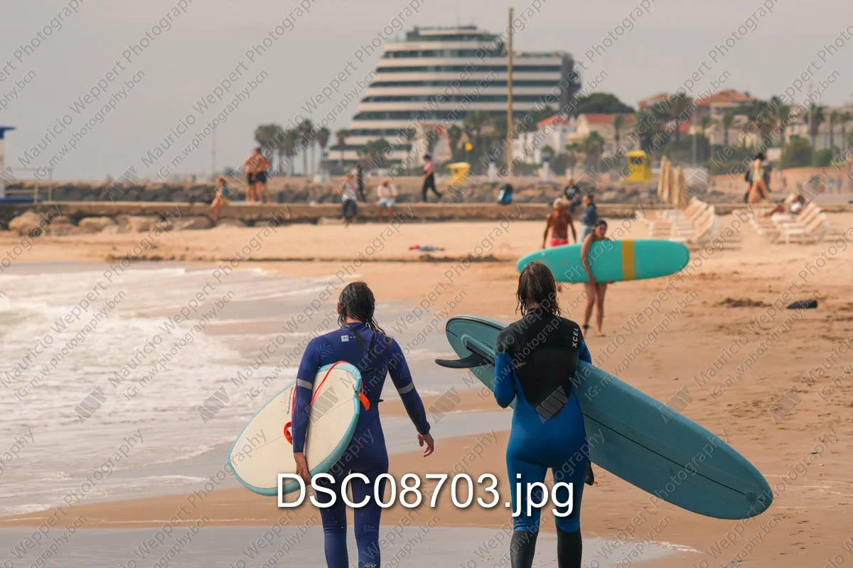DSC08703.jpg