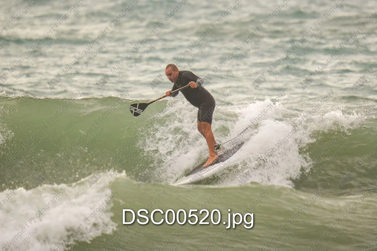 DSC00520.jpg
