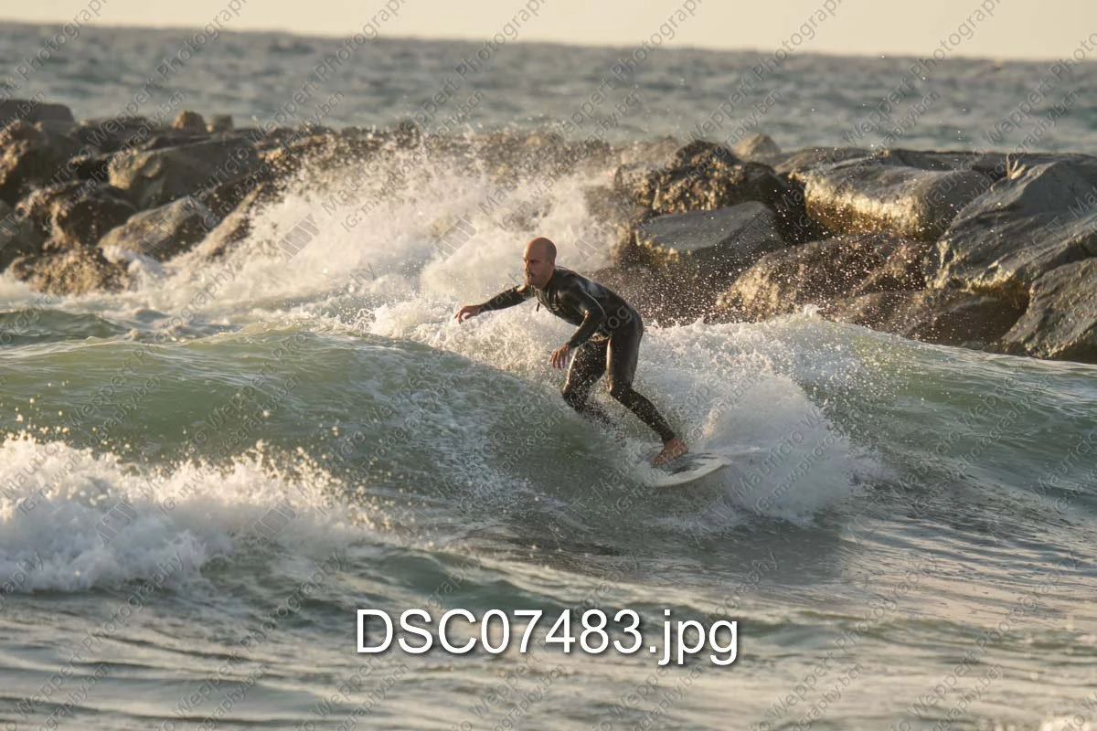 DSC07483.jpg