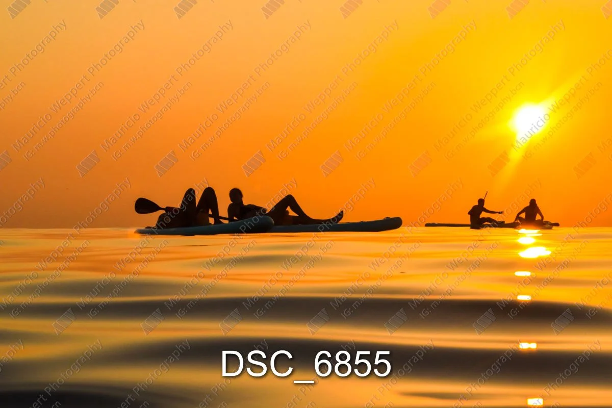 DSC_6855.jpg