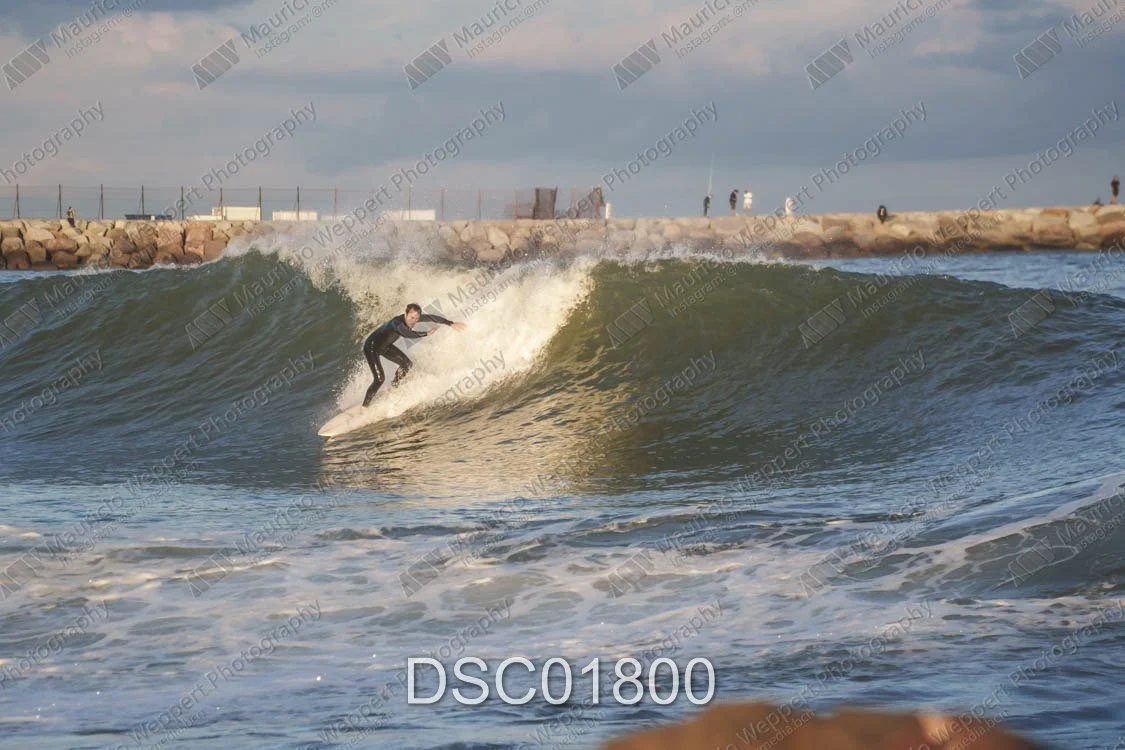 DSC01800.jpg