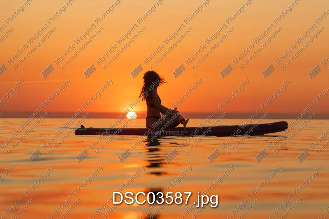 DSC03587.jpg