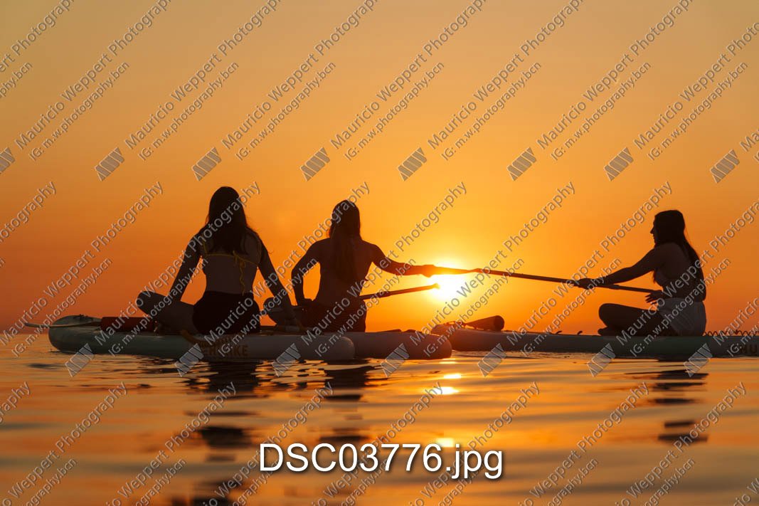 DSC03776.jpg