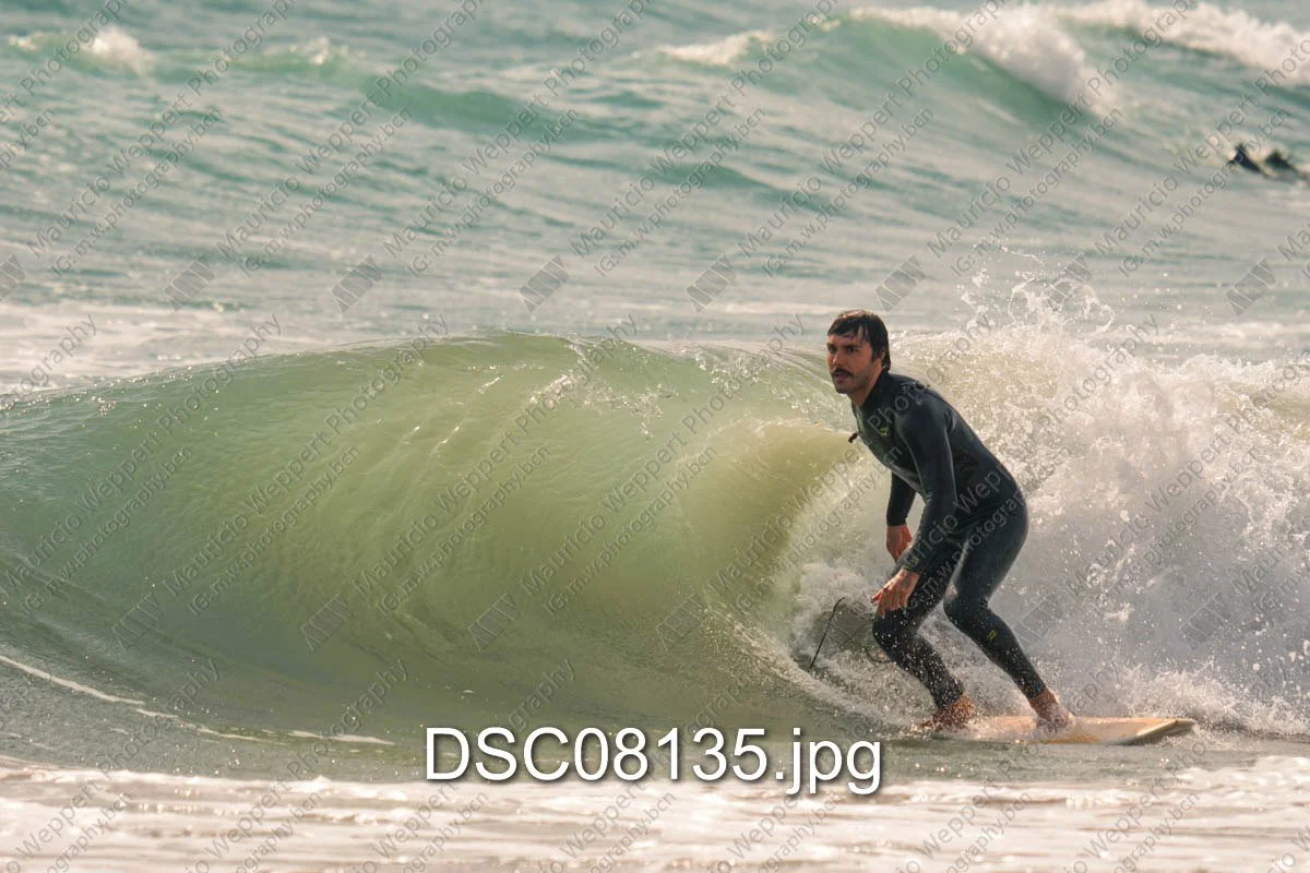 DSC08135.jpg