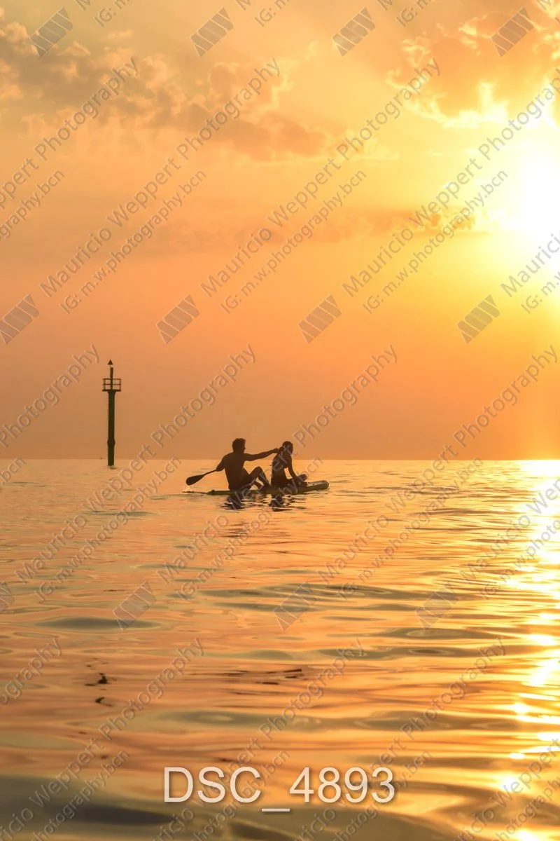 DSC_4893.jpg