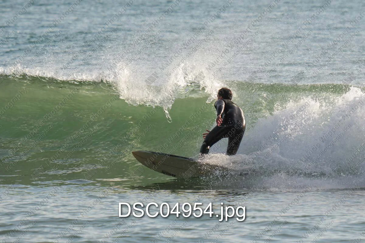 DSC04954.jpg