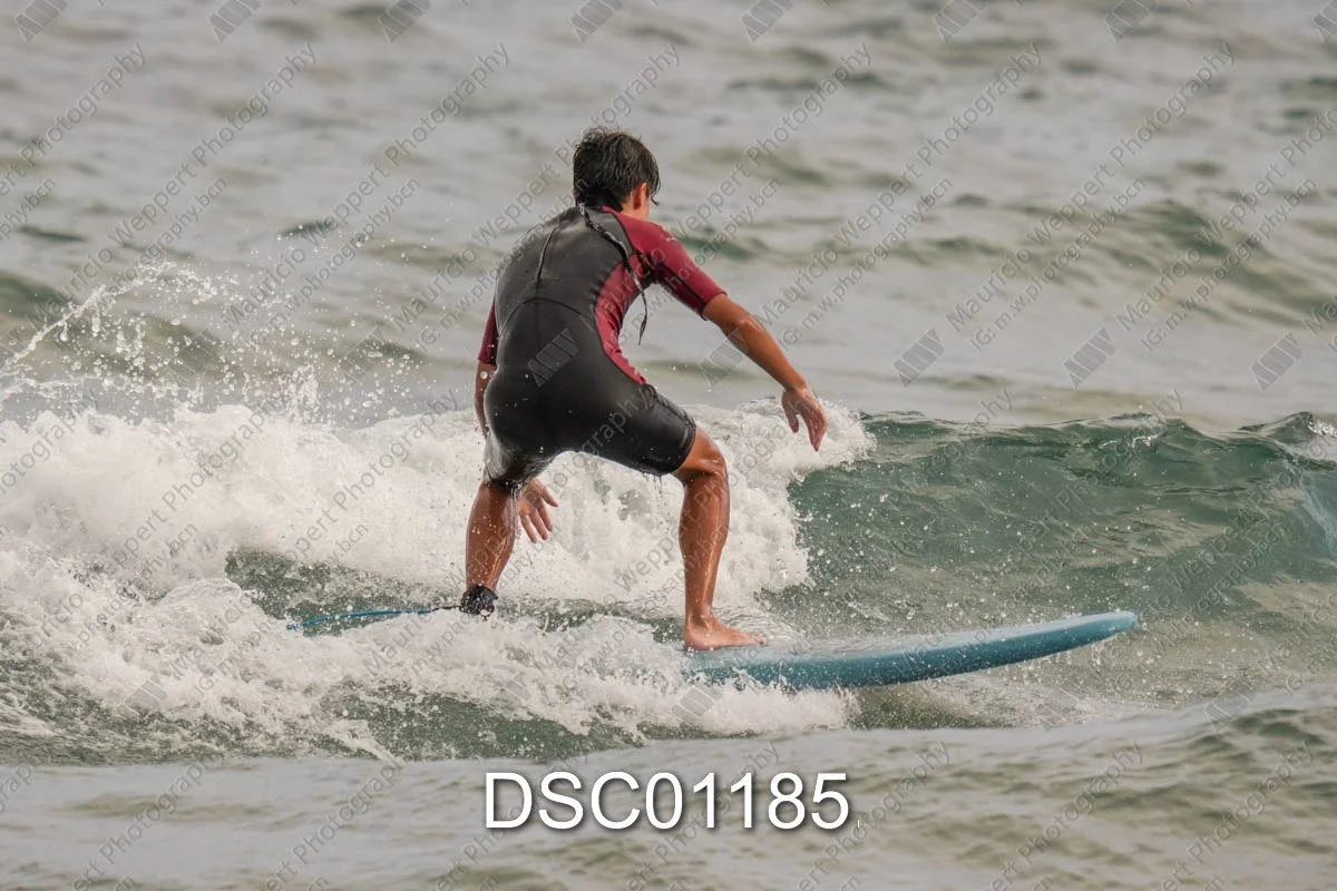 DSC01185.jpg