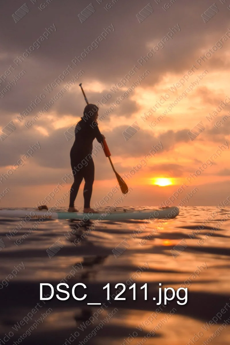 DSC_1211.jpg