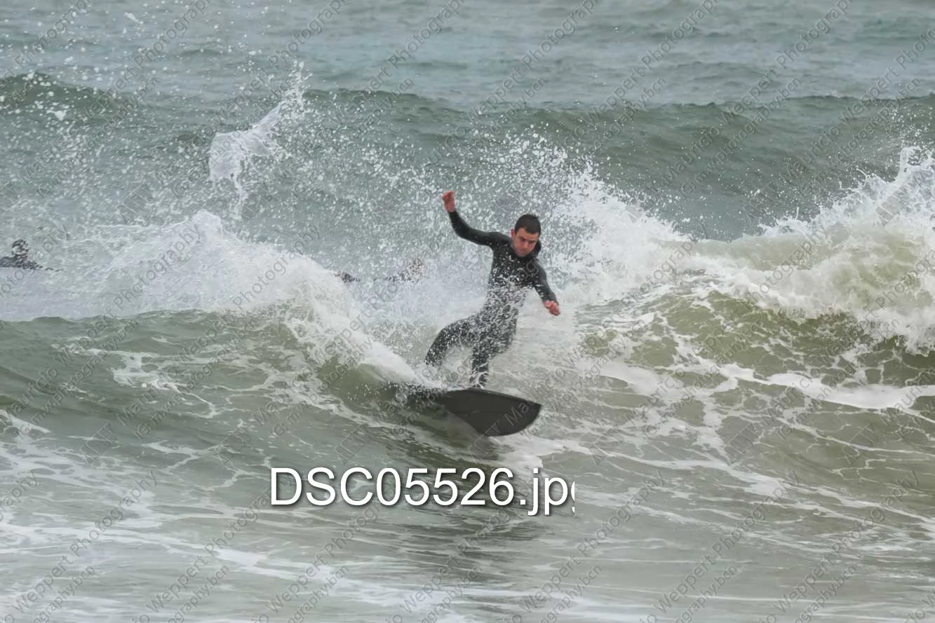 DSC05526.jpg