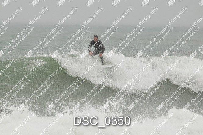 DSC_0350.jpg