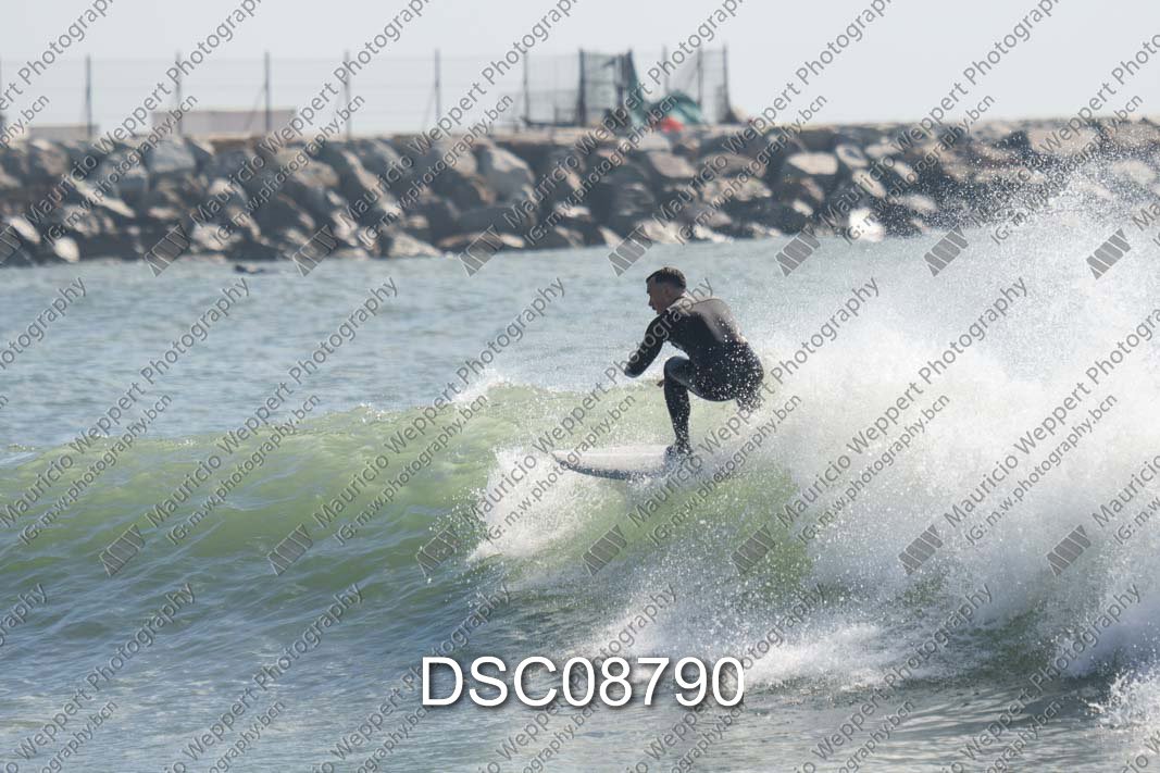 DSC08790.jpg