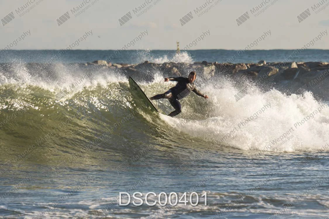 DSC00401.jpg