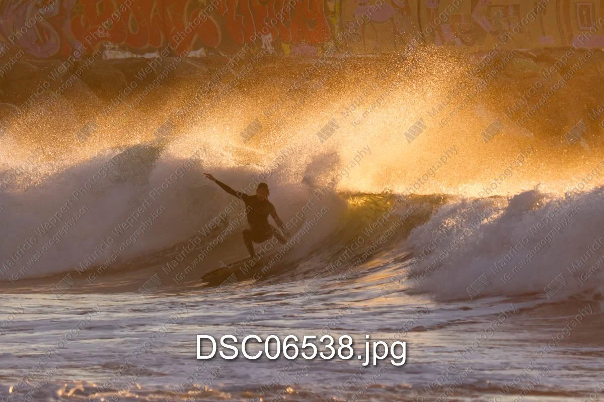 DSC06538.jpg