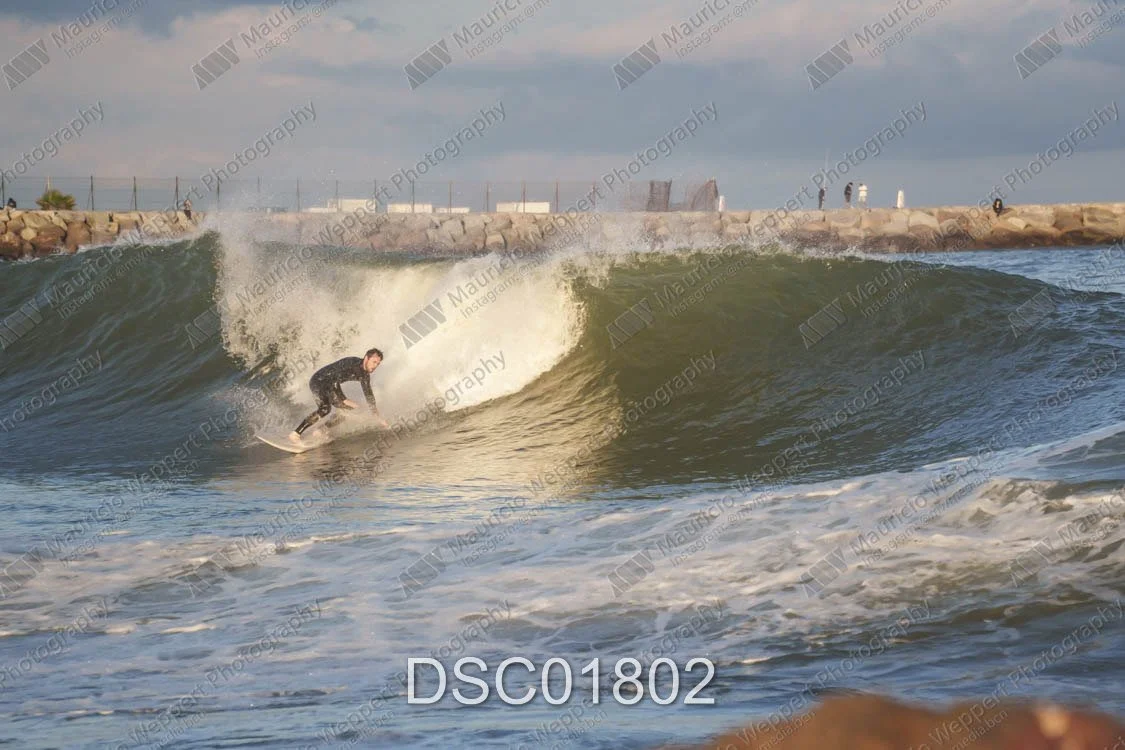 DSC01802.jpg