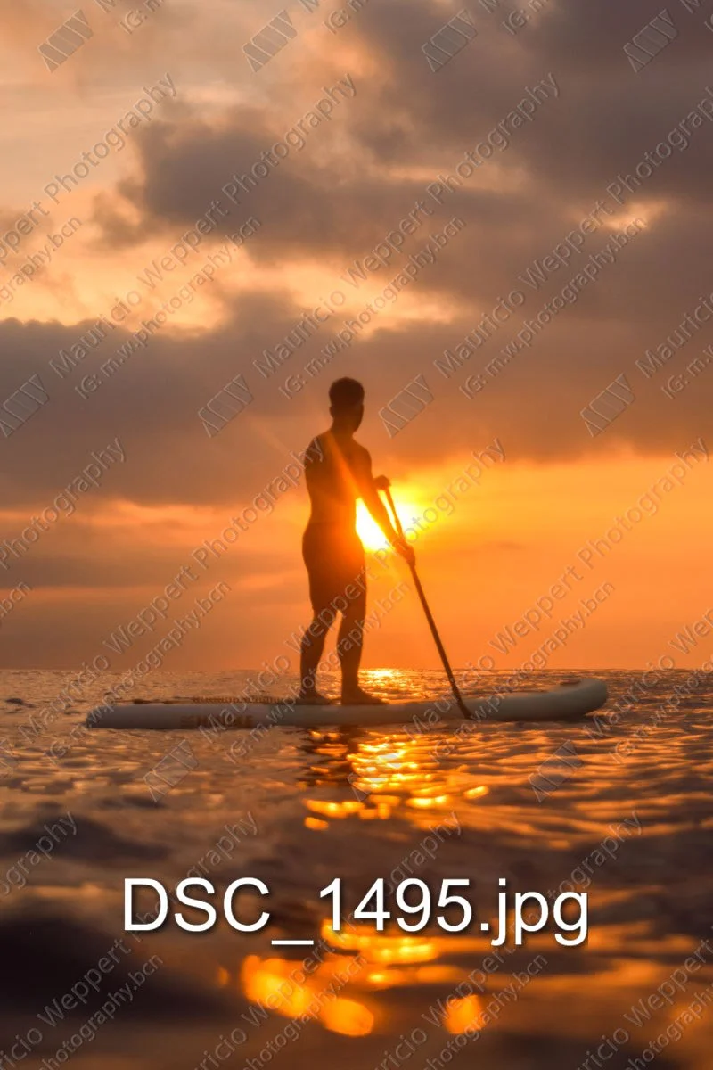DSC_1495.jpg