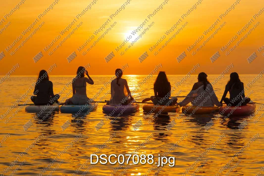DSC07088.jpg