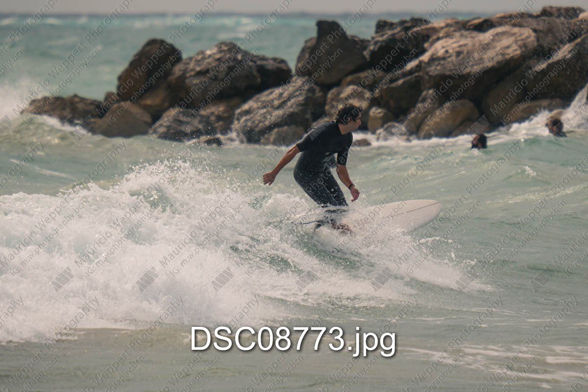 DSC08773.jpg