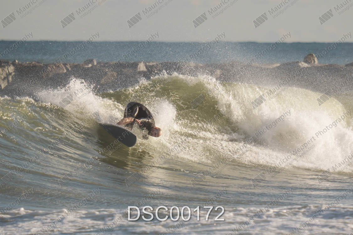 DSC00172.jpg