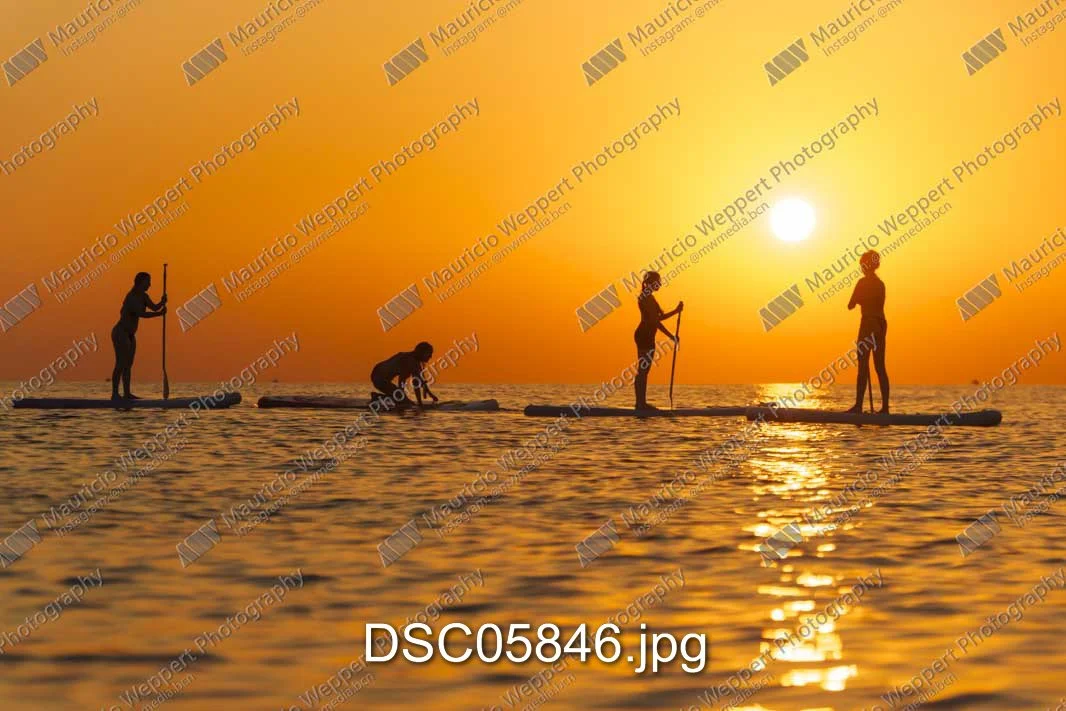 DSC05846.jpg