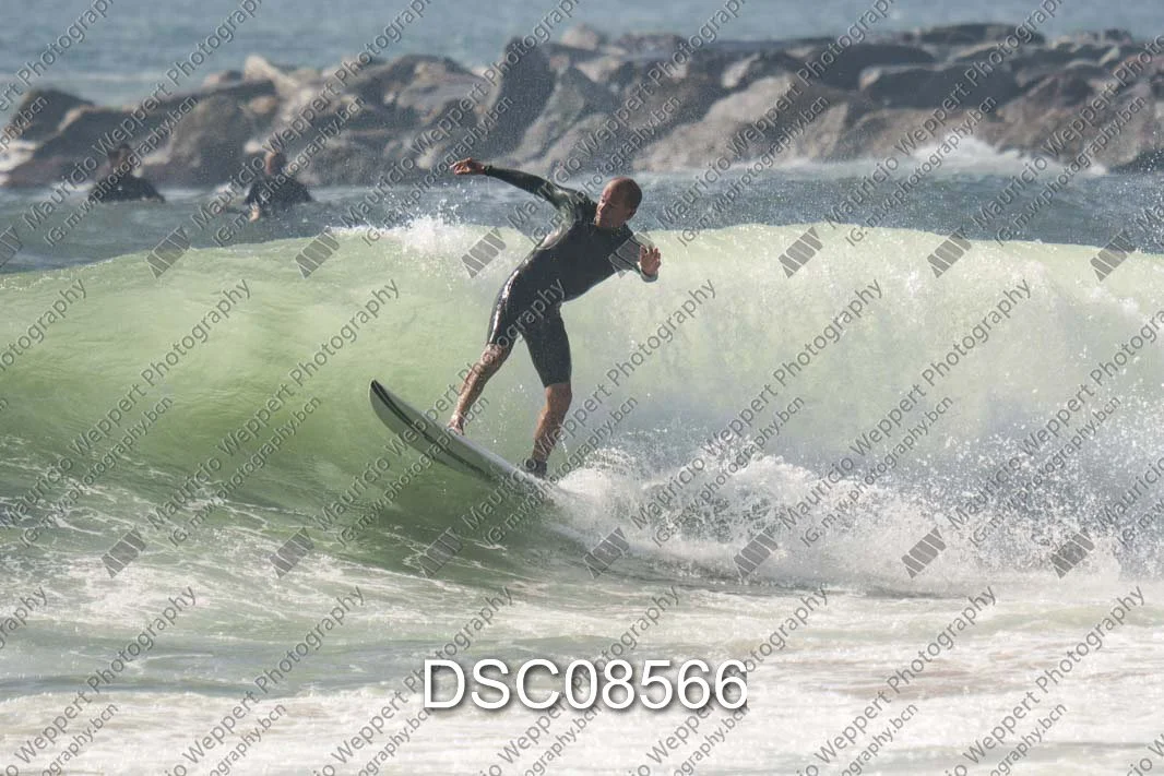 DSC08566.jpg