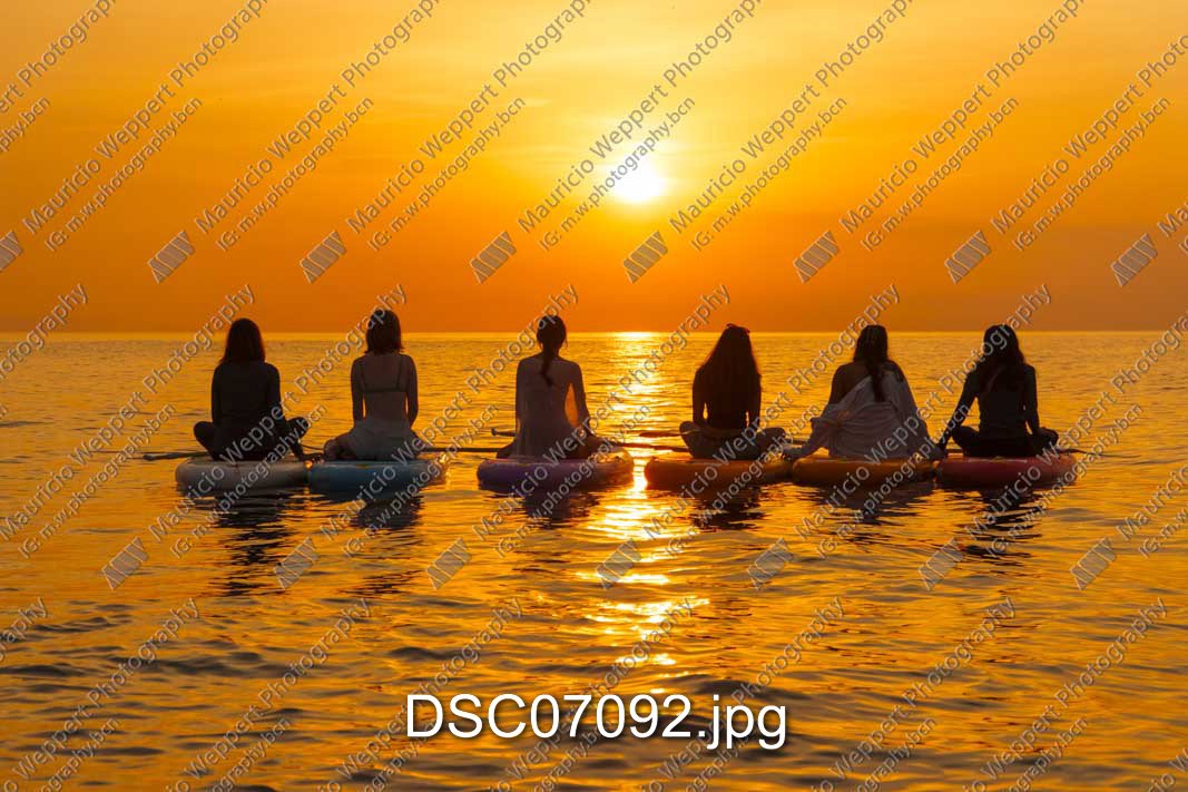 DSC07092.jpg