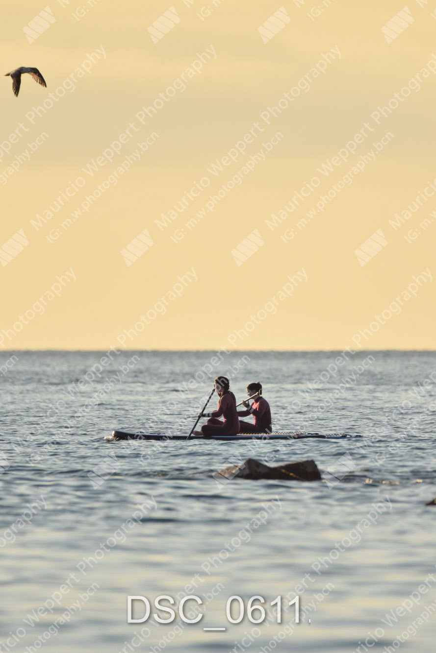 DSC_0611.jpg