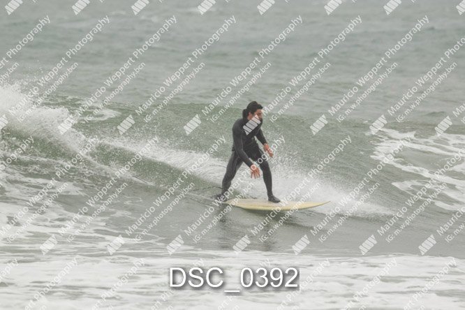 DSC_0392.jpg