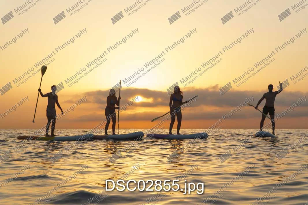 DSC02855.jpg