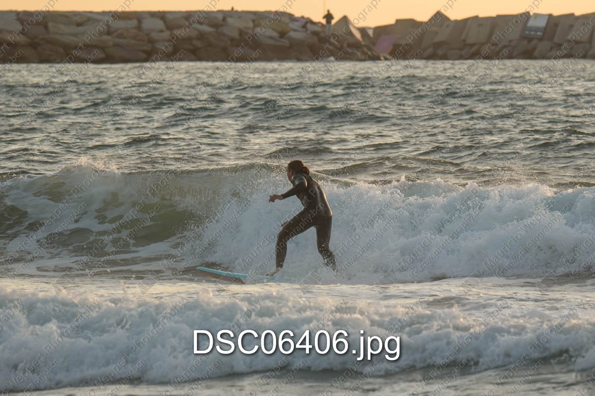 DSC06406.jpg