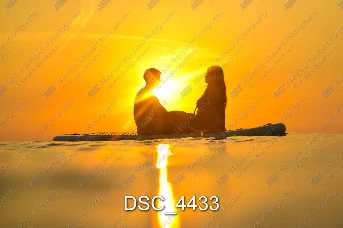 DSC_4433.jpg