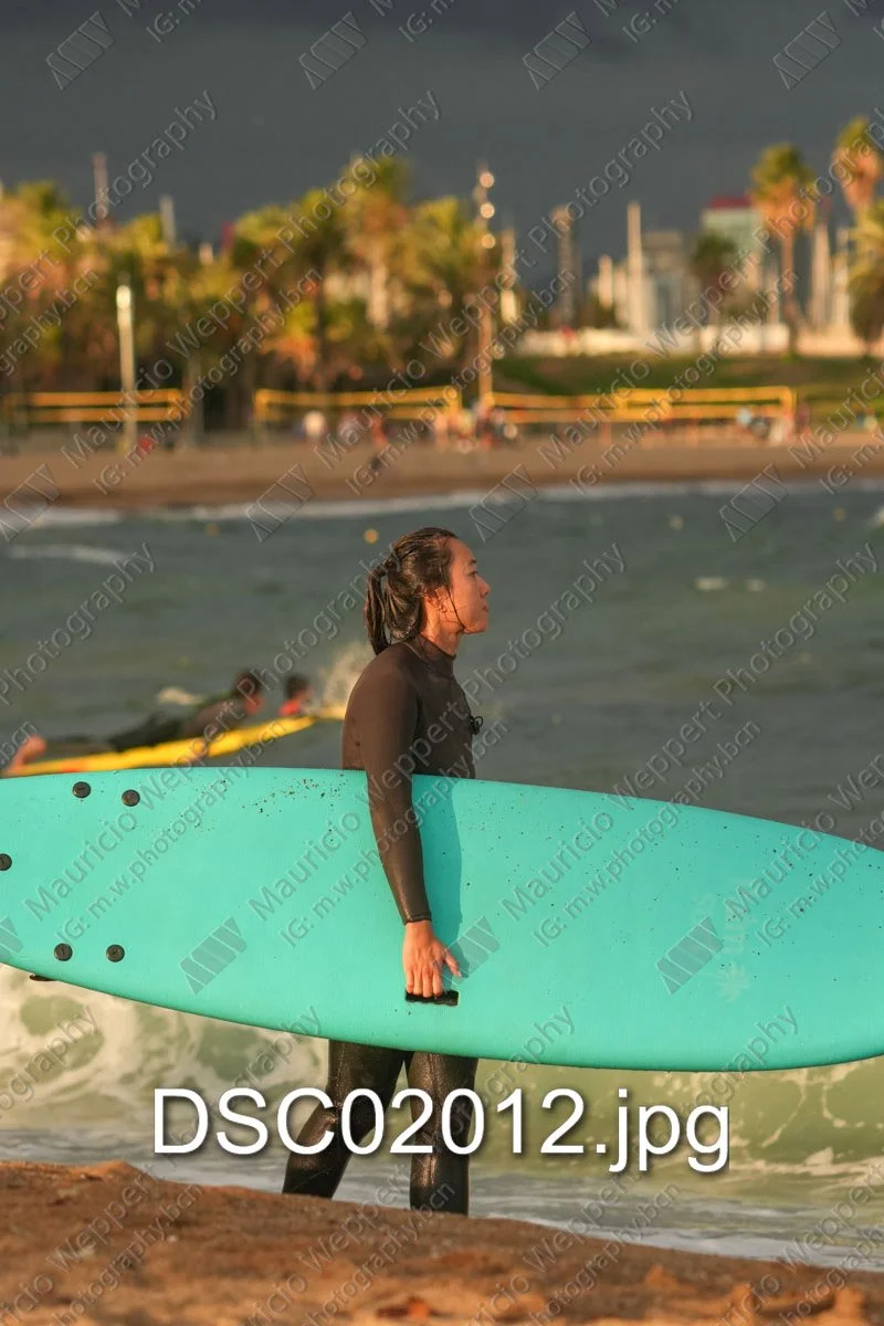 DSC02012.jpg