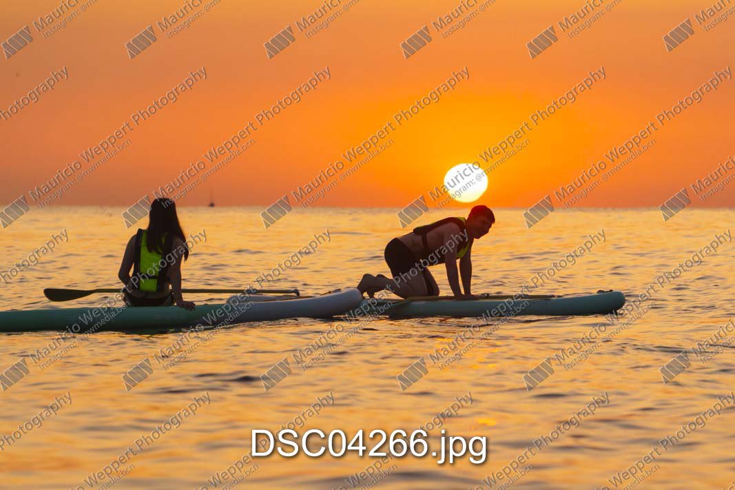DSC04266.jpg