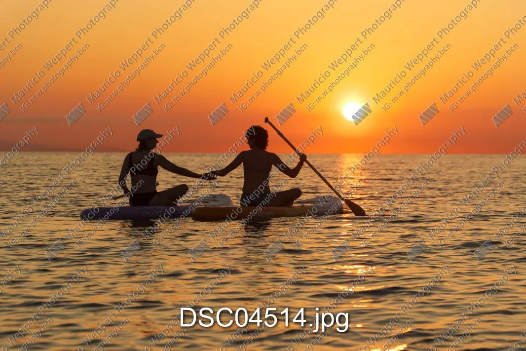 DSC04514.jpg