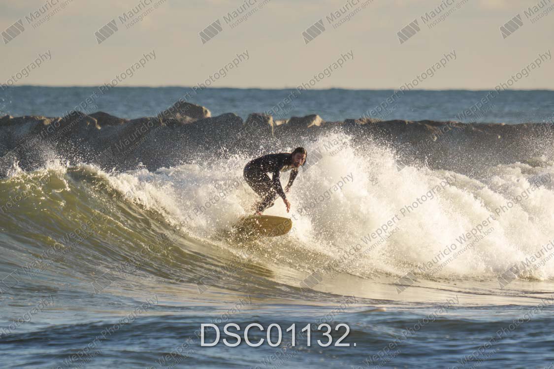 DSC01132.jpg