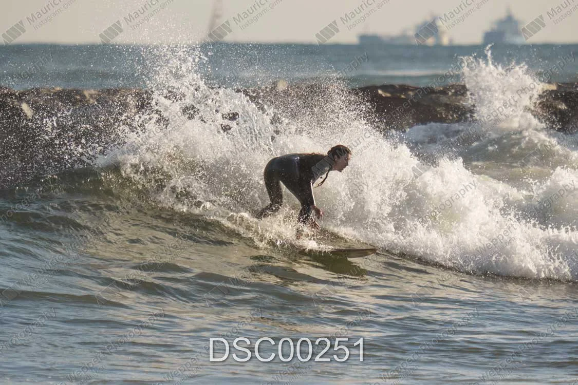 DSC00251.jpg