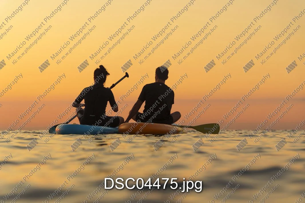DSC04475.jpg