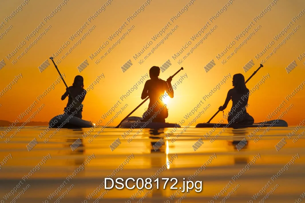 DSC08172.jpg